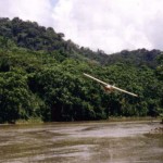 Pilot Steve Saint flying overhead